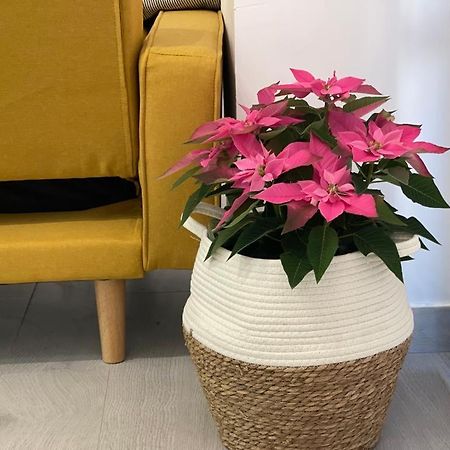 Nuevo Apartamento Folin ดอน เบนิโต ภายนอก รูปภาพ